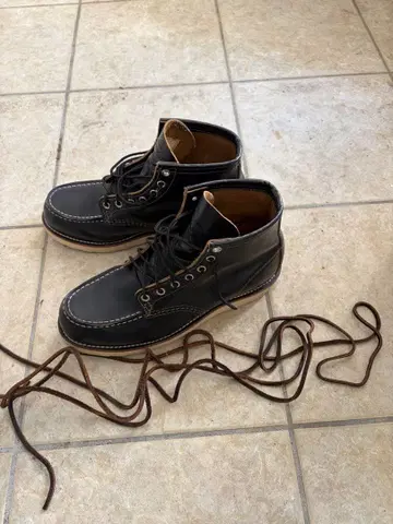 레드윙 아이리쉬 세터 차심