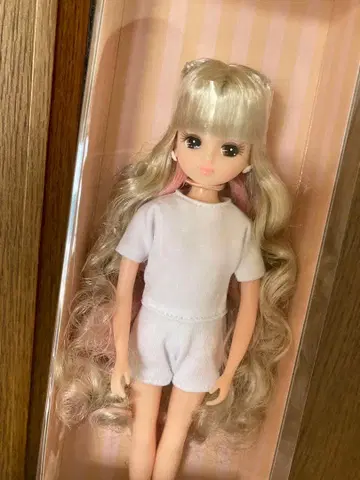 리카짱 캐슬 2022년 고베 산노미야 오리지널 모델 NO.12909