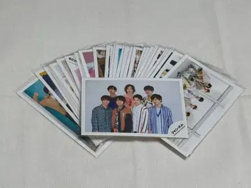 나니와단시 집합 공식 사진 약 35장