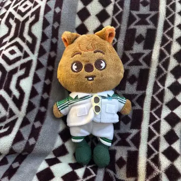 straykids 한쿼카 백참 skzoo