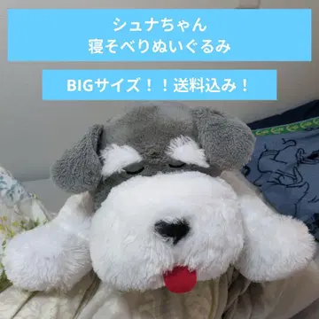 슈나와 밥 늘어놓기 봉제 인형 BIG 사이즈