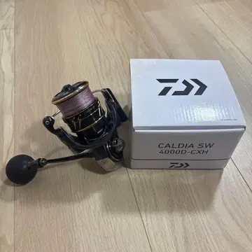 22 칼디아 SW 400D-CXH