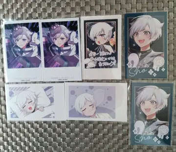 이레이스 쇼토 폴라로이드 폴라로이드풍 트레카 세트