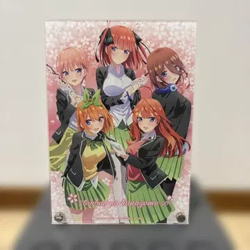 5등분의 신부 캐랏토 복권 사쿠라사쿠 아크릴 보드 아크릴 스탠드