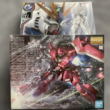RG RX-93ff 건담 & MG 가나자쿠 워리어