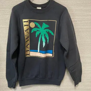 FRUIT OF THE LOOM HAWAII 맨투맨 M 블랙