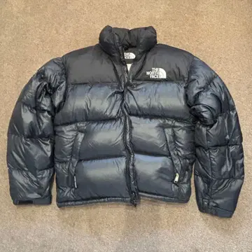 THE NORTH FACE 눕시 90s