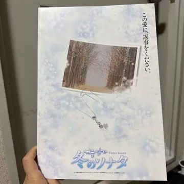 겨울연가 우표 시트 A4 사이즈