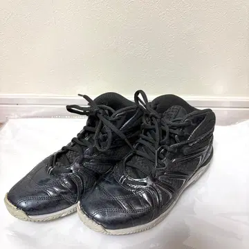 미즈노 웨이브 다이버스