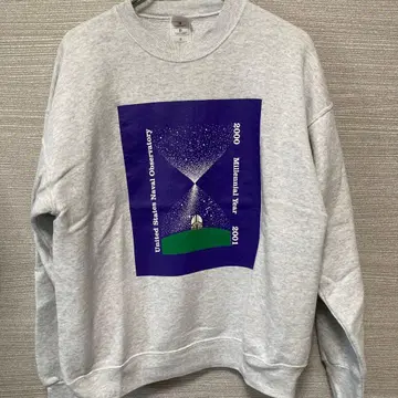 프룻 오브 더 룸 L 그레이 맨투맨