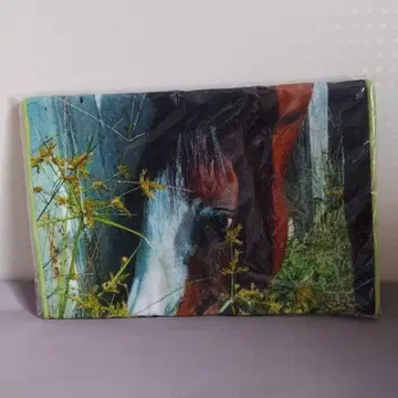 멜로디 레인짱 페이스타월