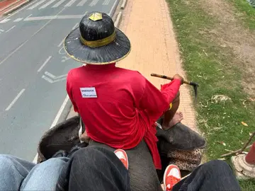 HUNTER TRAVEL TRAINER 헌터 트래블