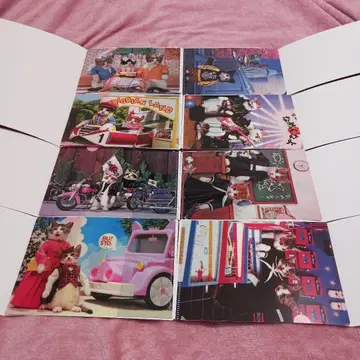 얕보지마 고양이 mini 클리어 파일 컬렉션 컴플리트 세트