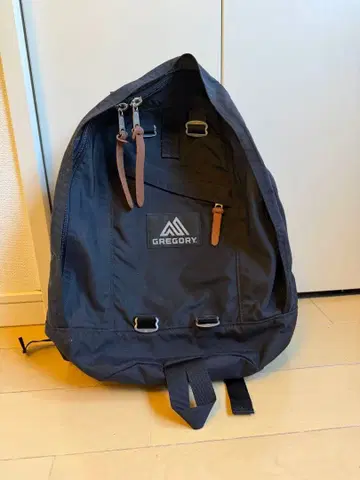 GREGORY FineDay 백팩