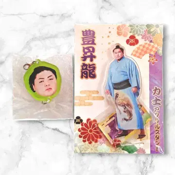 호쇼류 아크릴 스탠드 토키하야테 참