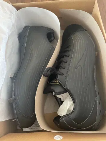 ETT 블랙 스파이크