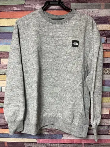 THE NORTH FACE 그레이 맨투맨 M