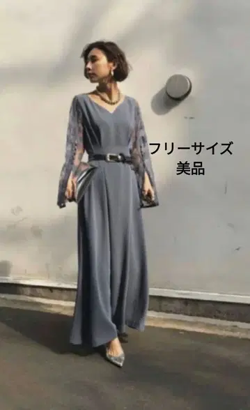 LACE SLEEVE REFINED DRESS