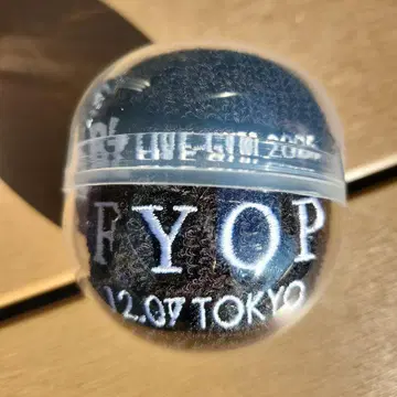 B z FYOP 7일 날짜 표기 도쿄 리스트 밴드