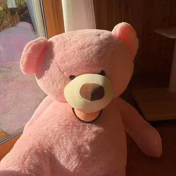 초 빅 사이즈 핑크 베어