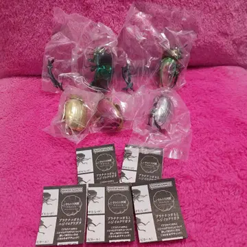 생물대도감 어드밴스 플라티나 황금풍뎅이와 무지개 사슴벌레 컴플리트 세트