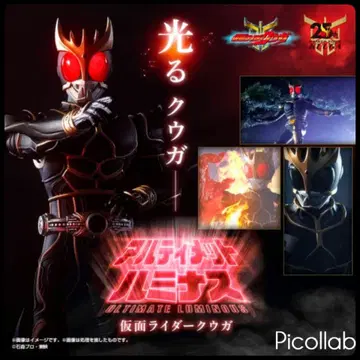 가면라이더 쿠우카 궁극의 루미너스 [미사용 새상품] 얼티밋 폼