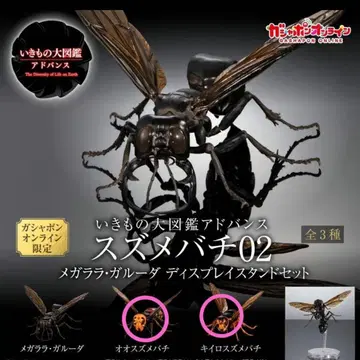 온라인판 2종 세트 생물대도감 어드밴스 말벌 02 곤충