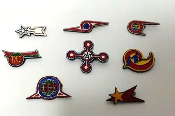 울트라맨 경비대 배지 테레비쿤