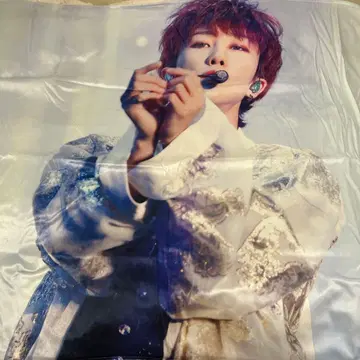 SEVENTEEN 세부치 민하오 담요