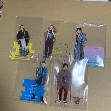 SnowMan 이와모토 히카루 아크릴 스탠드 5개 세트