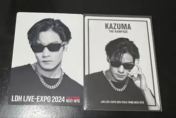 EXPO 카와무라 카즈마 포토 카드 2종 세트 익명 배송