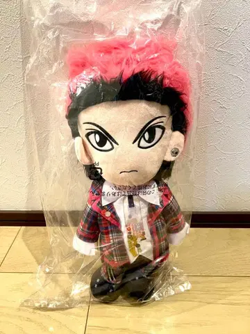 hide  BIG 미사용 새상품