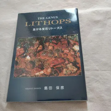 THE GENUS LITHOPS 살아있는 보석 리톱스 시마다 야스히코
