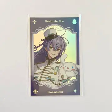 호시미치 쇼 산리오 사진풍 카드