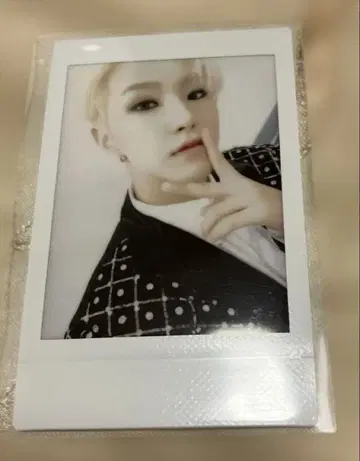 seventeen 호시 회장 한정판 an ode 인스턴트 사진