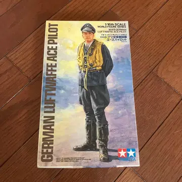 Tamiya 1/16 German Luftwaffe Ace Pilot