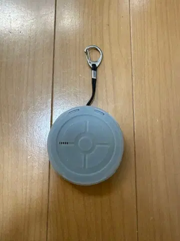 포켓몬 GO 오토 캐치