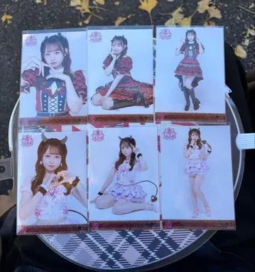 AKB48 오오모리 마호 빨간색 체크 동경의 의상 컴프 세트 브로마이드