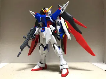 건담 프라모델 HGCE ZGMF-X42S 데스티니 건담 조립 완성품