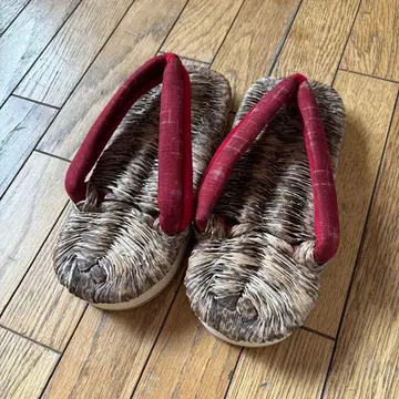 타케토라 대나무 껍질 조리 23.5-24.5cm 정도인 분께