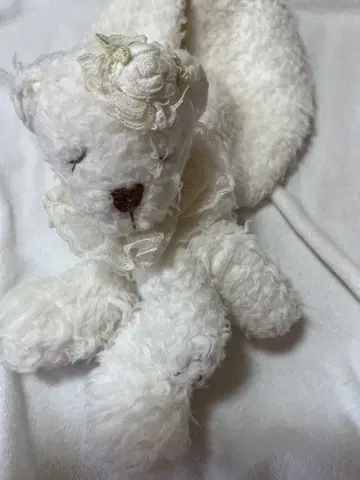 사에라 히스크로네 곰돌이 머플러 (성인용)