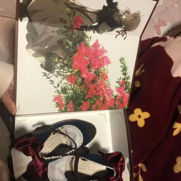 mayla_classic 바이올렛 에버가든 아코라