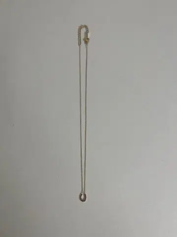 NEI/NOR 말발굽 목걸이 골드 새상품급