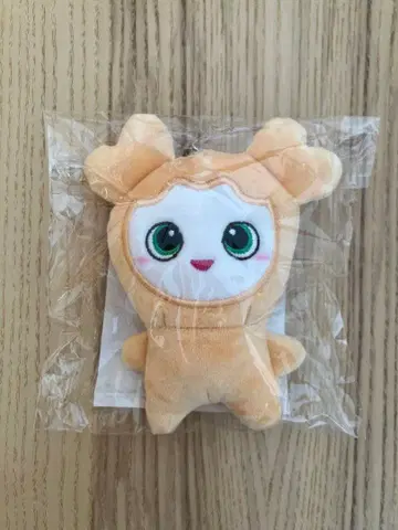 twice lovelys 리버서블 백참 지브리 지효