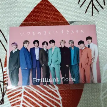 초특급 Brilliant flora 트레이딩 카드 집합