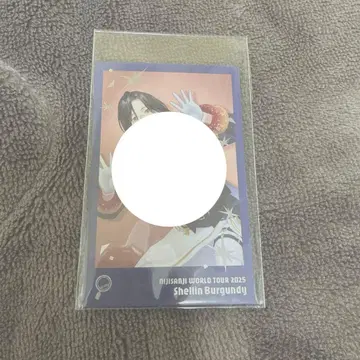 주문 판매 니지산지 WORLD TOUR 2025 고베 폴라로이드 셰린