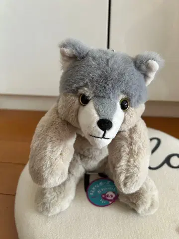 포지 펜 파우치 허스키 개 지퍼 달린 그레이