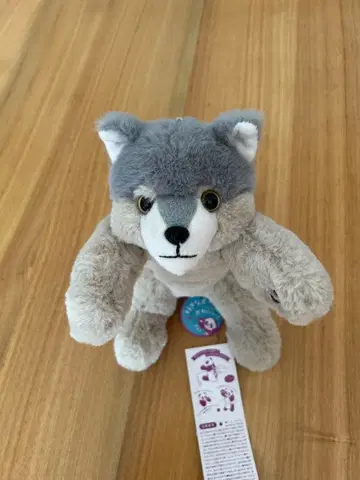 포지 펜 파우치 허스키 개 지퍼 달린 그레이