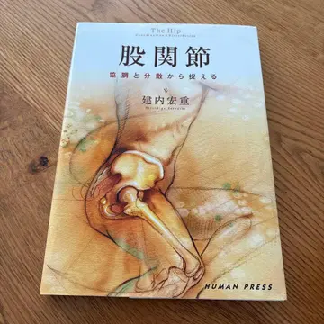 고관절 협조와 분산에서 파악하기