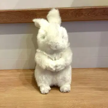 Le Flanc 토끼 봉제 인형